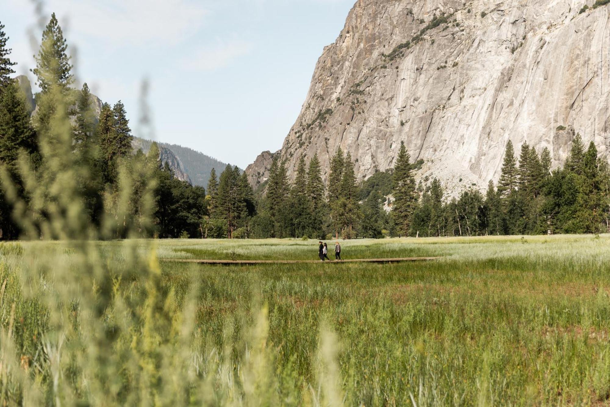 Resort Tenaya At Yosemite 4*